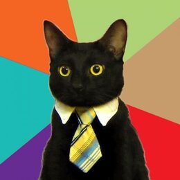 Classic black cat in a tie Business Cat meme