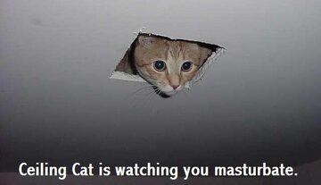 Classic Ceiling Cat peering through a ceiling hole meme