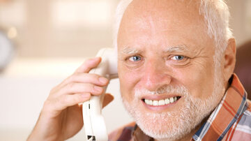 Canonical András Arató Hide the Pain Harold stock photograph