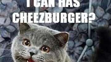Original Happy Cat I Can Has Cheezburger image macro
