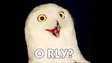 Classic snowy owl O RLY image macro