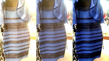 Original photograph of The Dress color perception meme